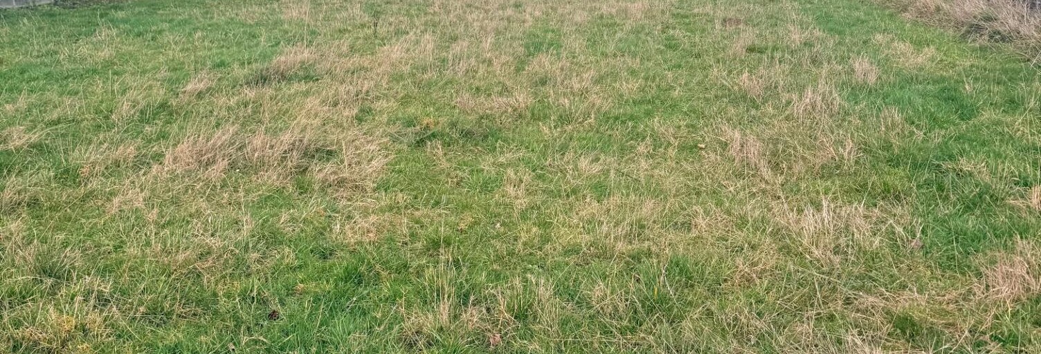 Terrain  862 m² à vendre à Le Quesnoy (59530)