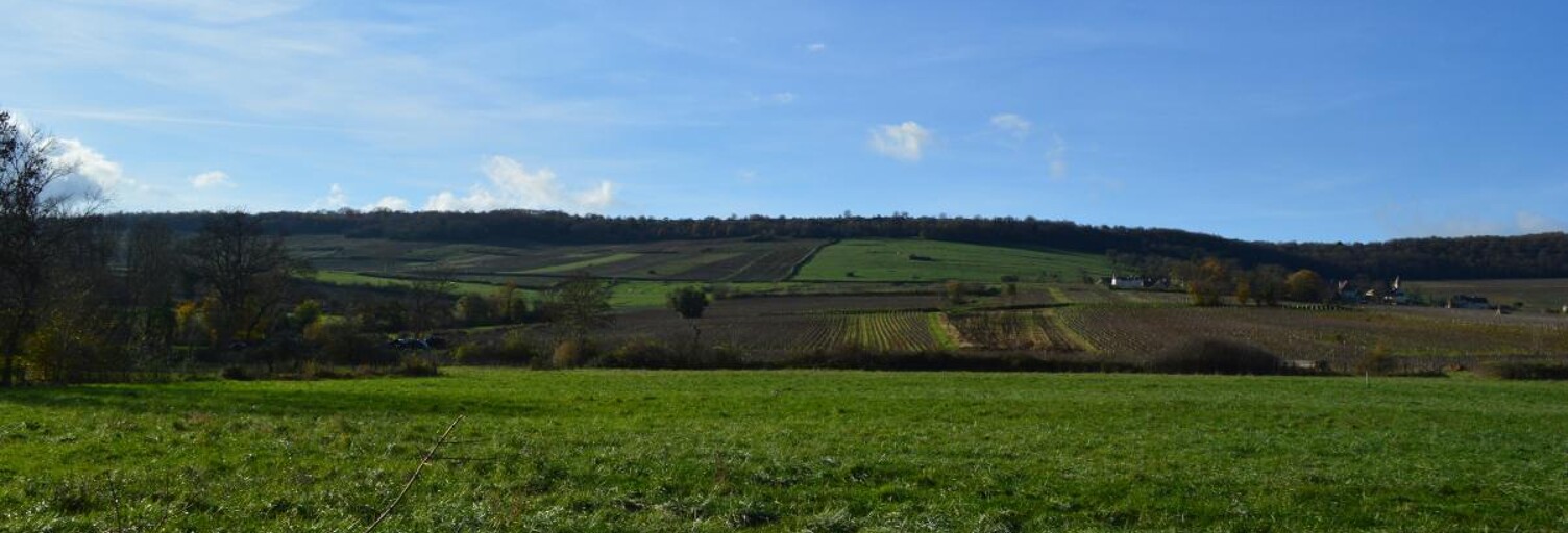 Maison 5 Pièces 82 m² à vendre à Buxy (71390)