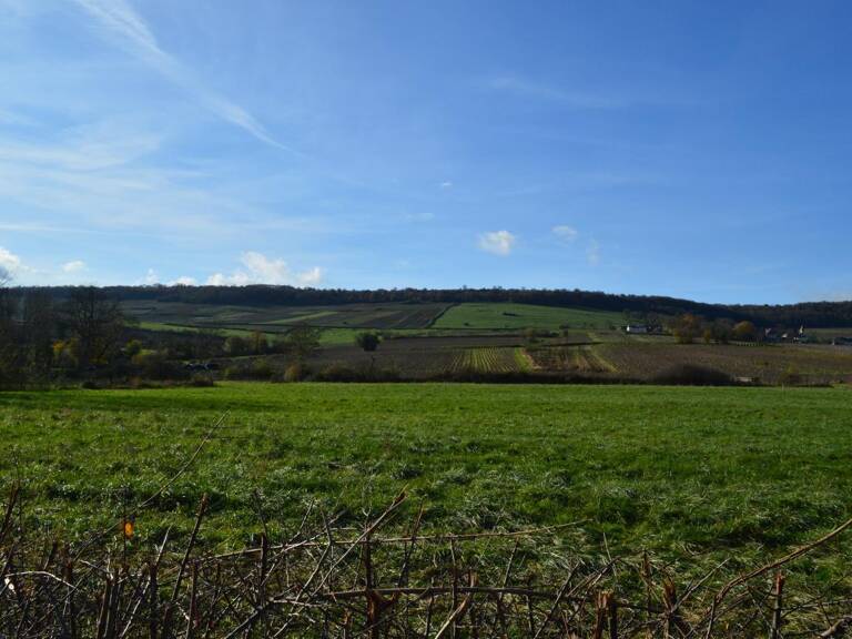 Lotissement Chenoves 71390 — photo 1