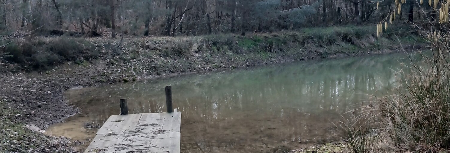 Terrain  3200 m² à vendre à Baugé-en-Anjou (49150)