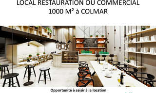 Commerce  1000 m² à vendre à Colmar (68000)