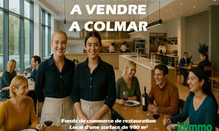 Commerce  1000 m² à vendre à Colmar (68000)