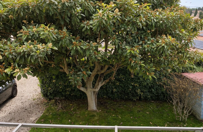 Très agréable Maison familiale à Gardanne — photo 4