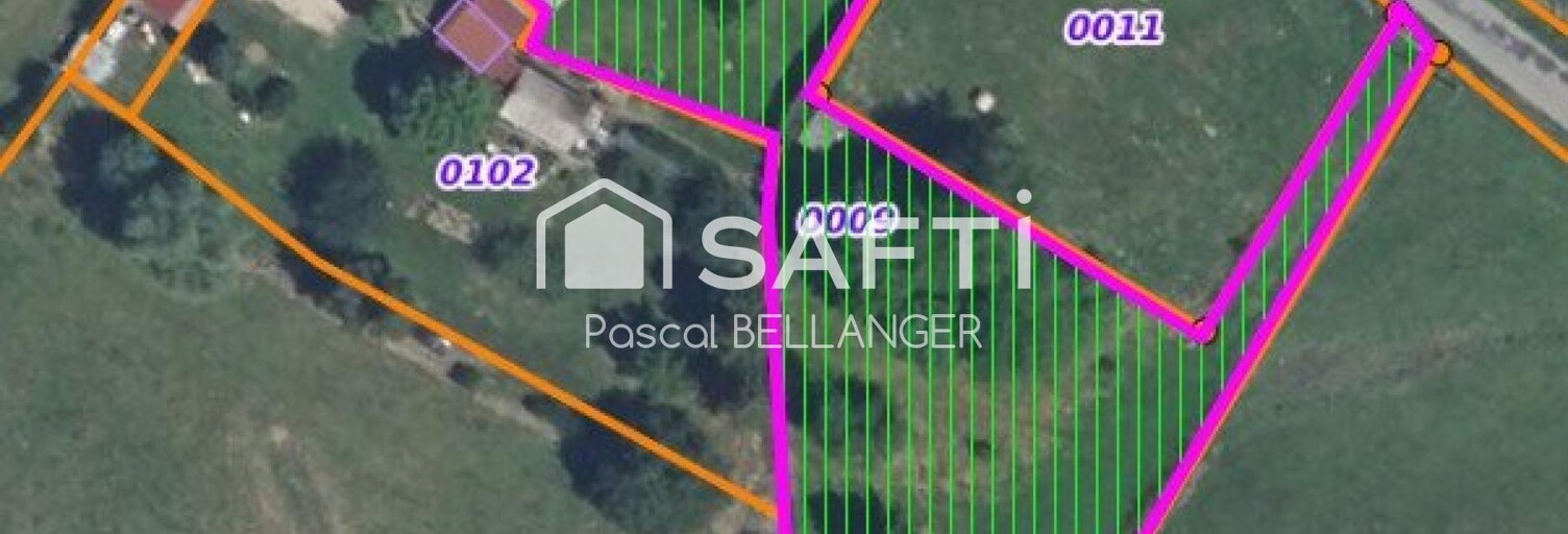 Photo N° 2