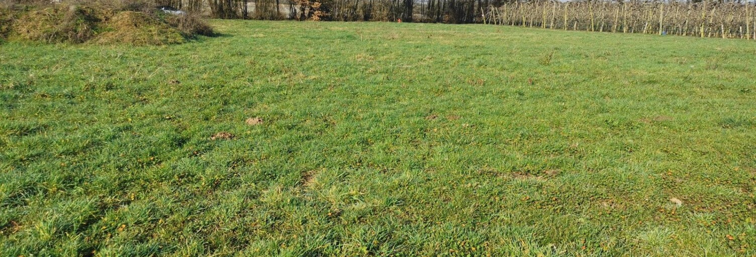 Terrain  867 m² à vendre à Le Douhet (17100)