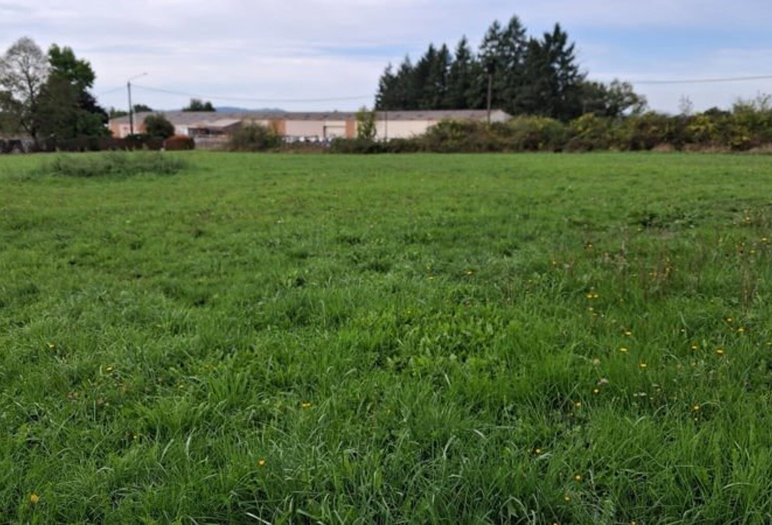 Vente terrain  1875 m² Ussac (19270) — photo 1