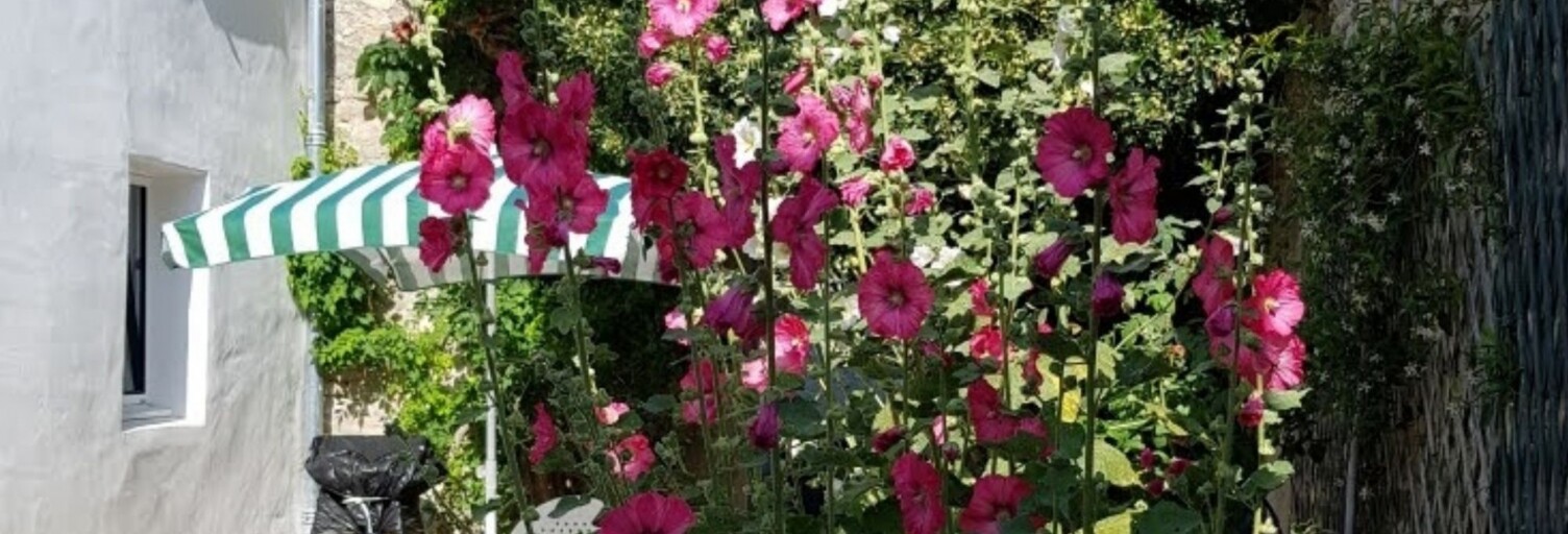 Maison 5 Pièces 106 m² à vendre à Saint-Martin-de-Ré (17410)