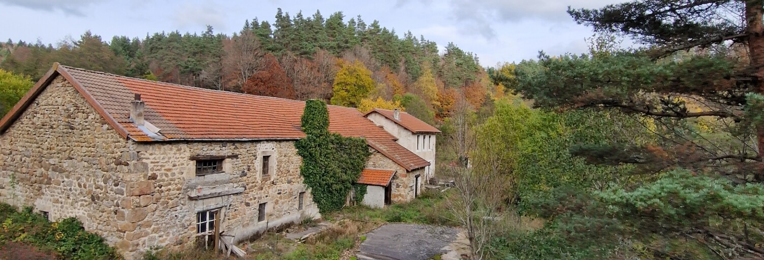 Maison 4 Pièces 80 m² à vendre à Présailles (43150)