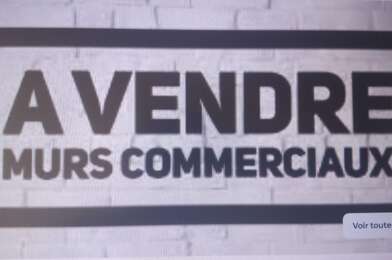 Commerce  490000 €