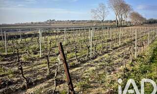 Terrain  41995 m² à vendre à Tourbes (34120)