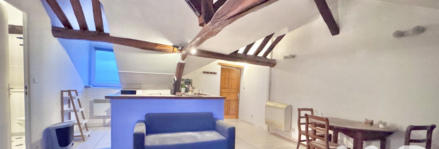 Appartement 1 Pièce 26 m² à vendre à Auxerre (89000)