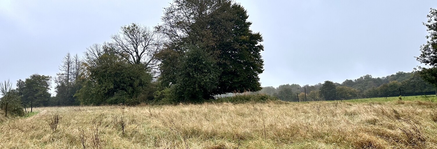 Terrain  1500 m² à vendre à Sévigny-la-Forêt (08230)
