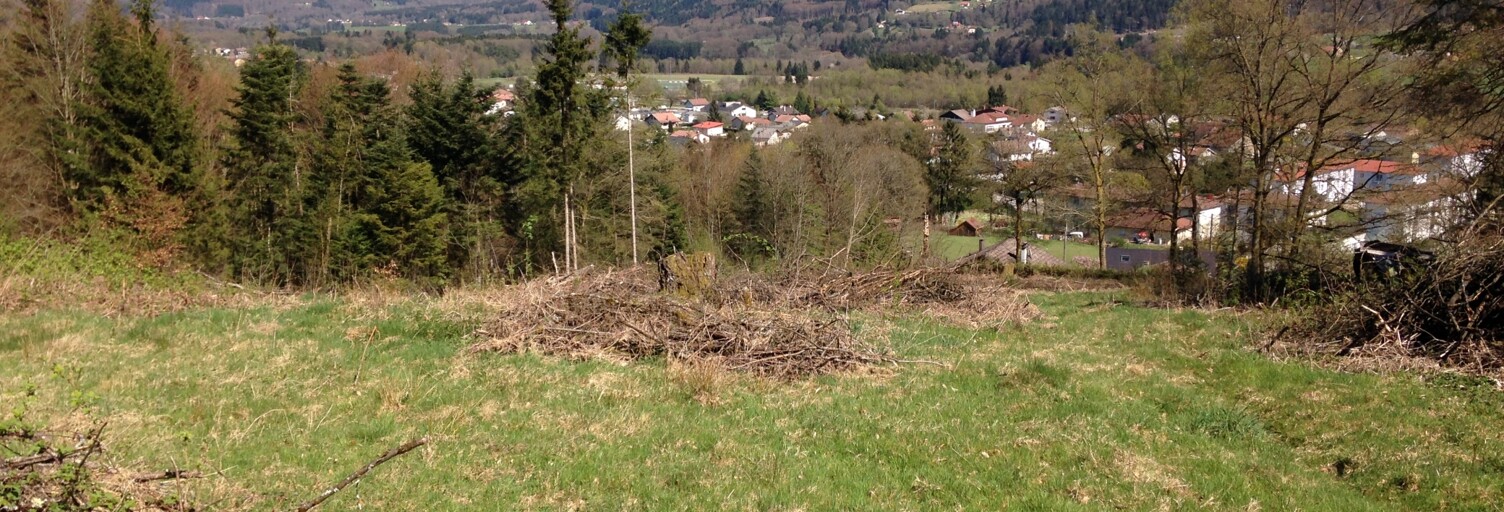 Terrain  6800 m² à vendre à Saint-Nabord (88200)