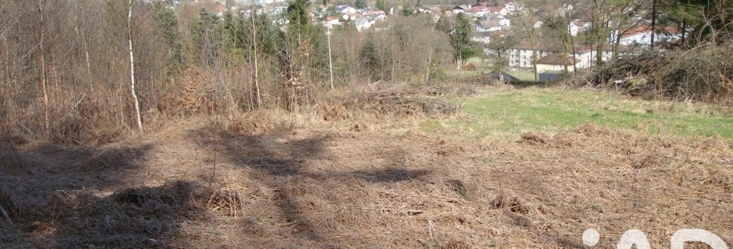 Terrain  6800 m² à vendre à Saint-Nabord (88200)