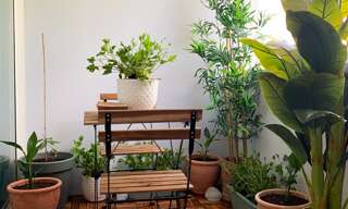 Appartement 3 Pièces 58 m² à vendre à Mérignac (33700)