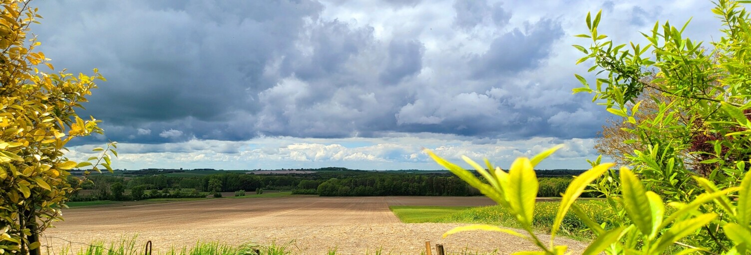 Photo N° 2