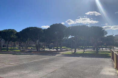 Appartement 1 pièces 148300 €