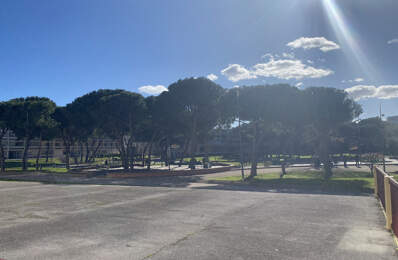 T1 avec terrasse — photo du bien