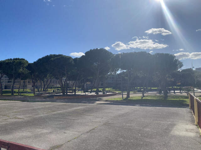 T1 avec terrasse — photo du bien