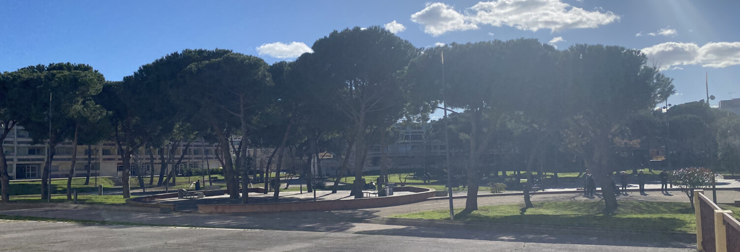 Appartement 1 Pièce 28 m² à vendre à Balaruc-les-Bains (34540)