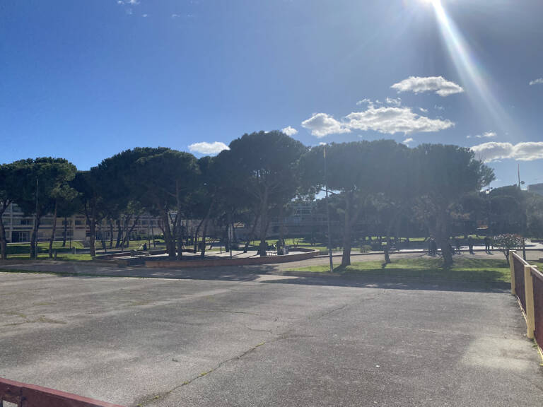 T1 avec terrasse — photo 1