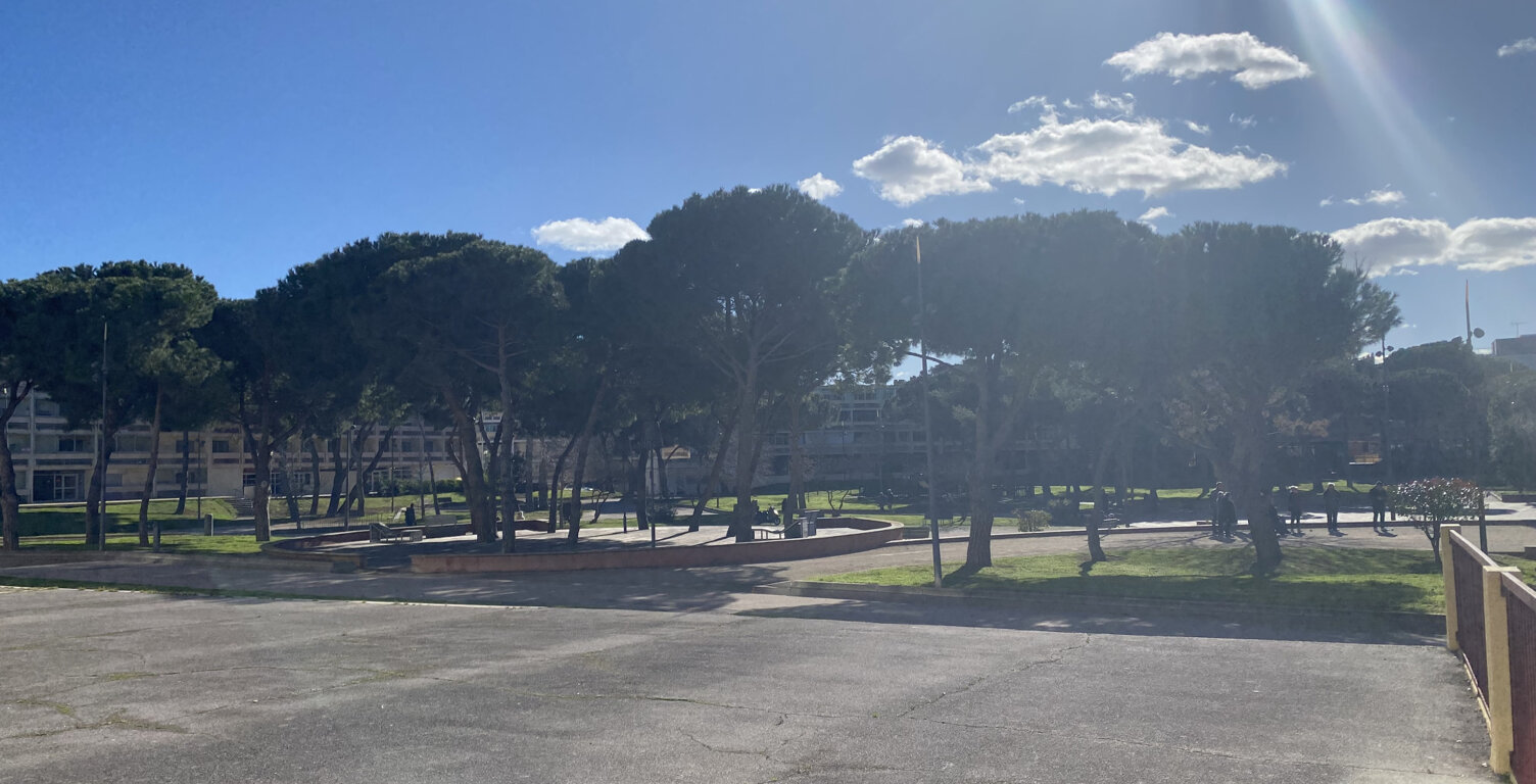 T1 avec terrasse — photo 1