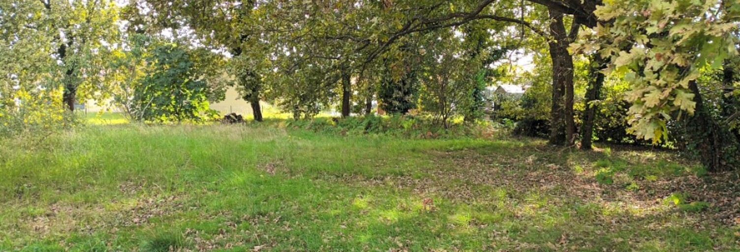 Terrain  426 m² à vendre à Biscarrosse (40600)