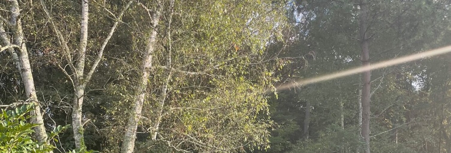 Terrain  1000 m² à vendre à Saint-Aubin-de-Médoc (33160)