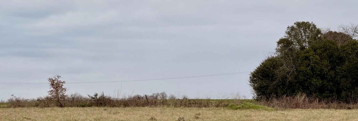 Terrain  2300 m² à vendre à Saint-Aubin-de-Lanquais (24560)