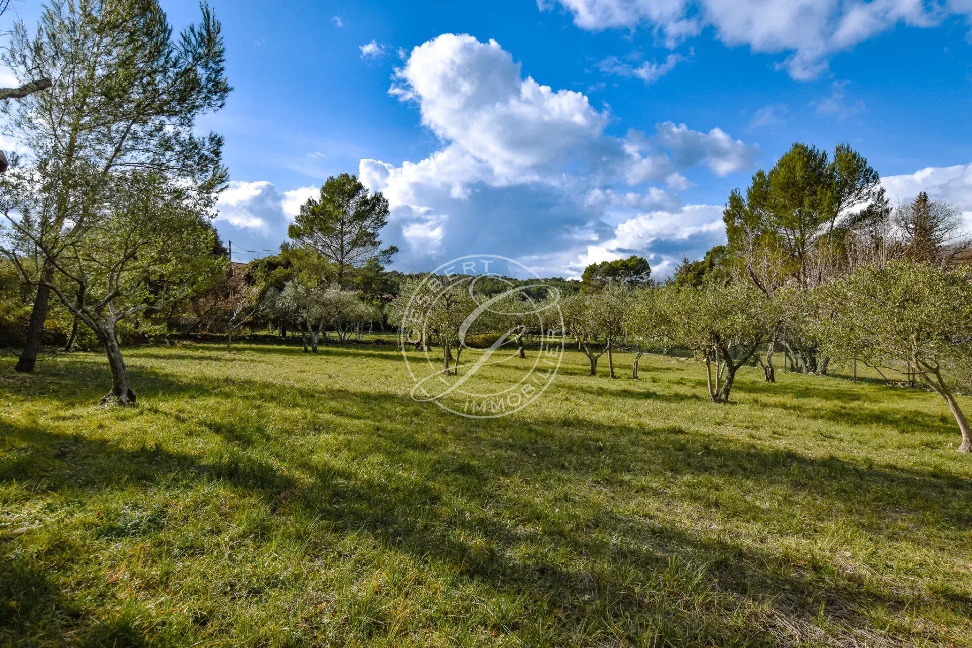 Terrain  à vendre Flayosc 83780