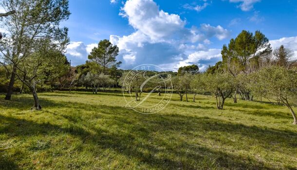 Terrain  à vendre Flayosc 83780