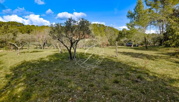 Terrain  à vendre Flayosc 83780