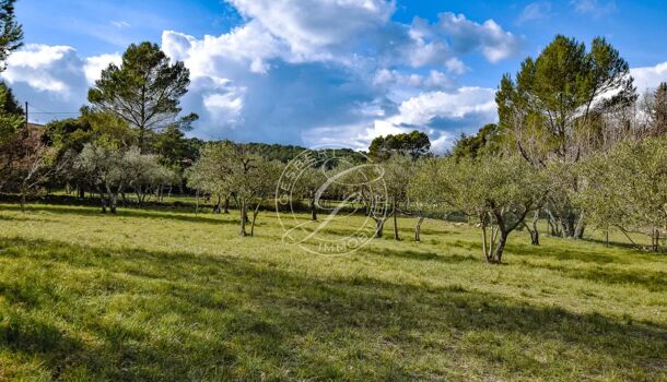 Terrain  à vendre Flayosc 83780