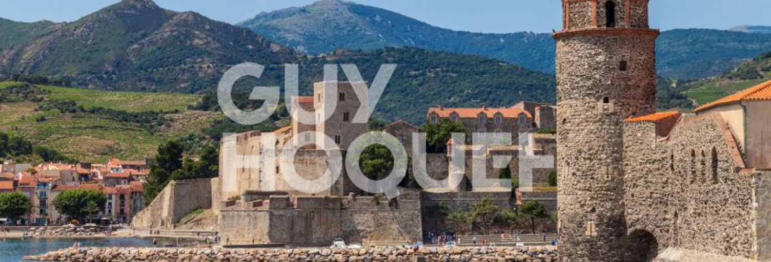 Commerce  13 m² à vendre à Collioure (66190)