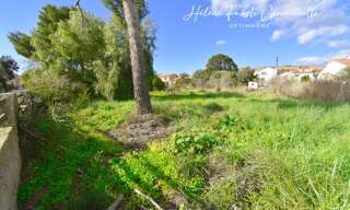 Terrain  1180 m² à vendre à Saint-Florent (20217)