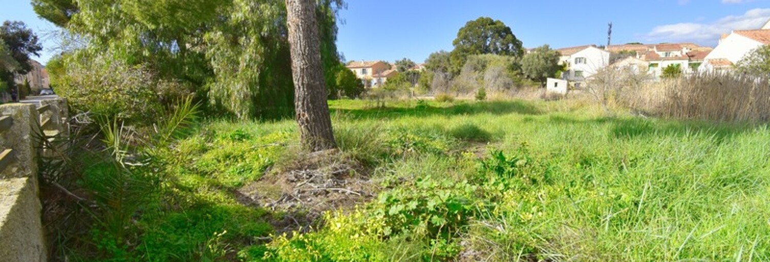 Terrain  1180 m² à vendre à Saint-Florent (20217)