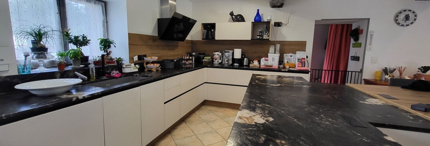 Maison 9 Pièces 358 m² à vendre à Saint-Paul-de-Varax (01240)