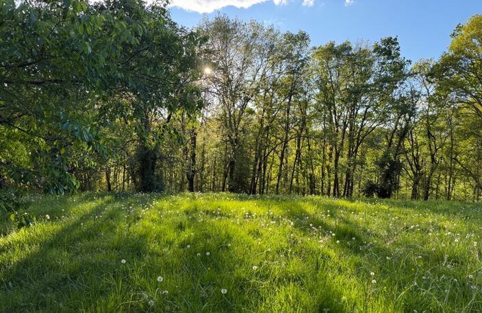 Terrain à vendre de 2 247,00 m²  () — photo 2