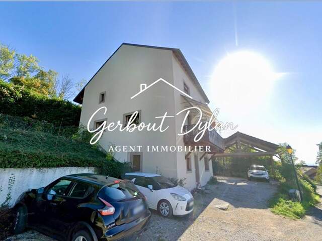 Immeuble à vendre MACHILLY (74) — photo du bien