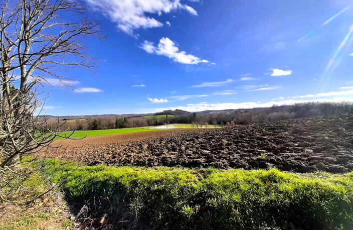 Ancienne ferme de 1796 sur 3,7 Hectares, dépendances, vue sur les Pyrénées — photo 4
