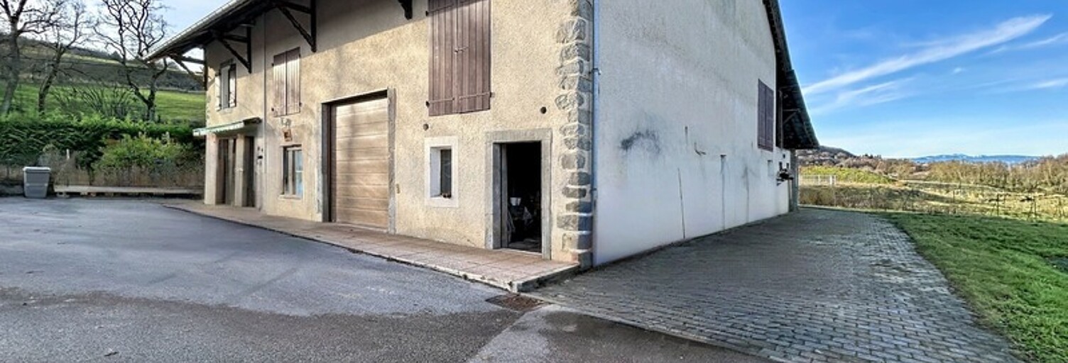 Maison 5 Pièces 206 m² à vendre à Reignier-Ésery (74930)