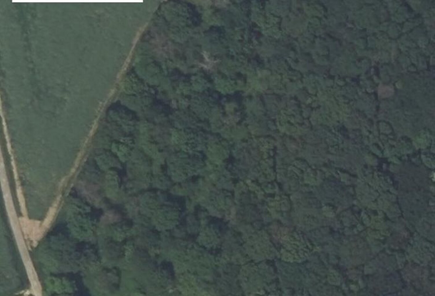 Terrain - 5440m ² — photo 1