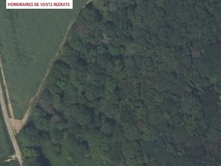 Terrain - 5440m ² — photo 1