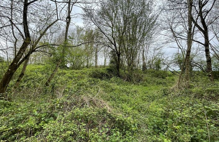 Terrain - 5440m ² — photo 3