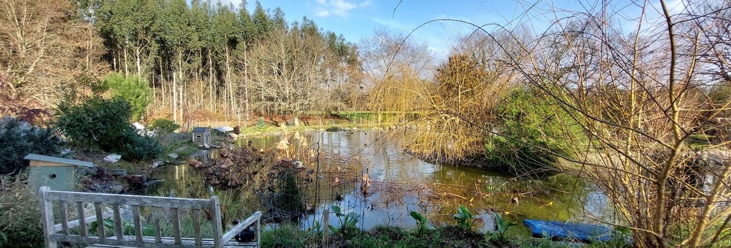 Appartement 1 Pièce 50 m² à louer à Candresse (40180)