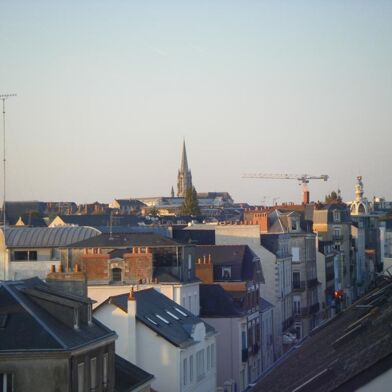 Appartement 2 pièces 815 €