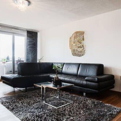 Appartement 3 pièces 1240 €