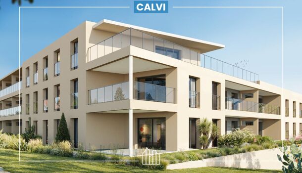 Appartement 2 pièces  à vendre Calvi 20260