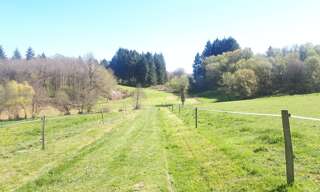 Terrain  71878 m² à vendre à Vayres (87600)