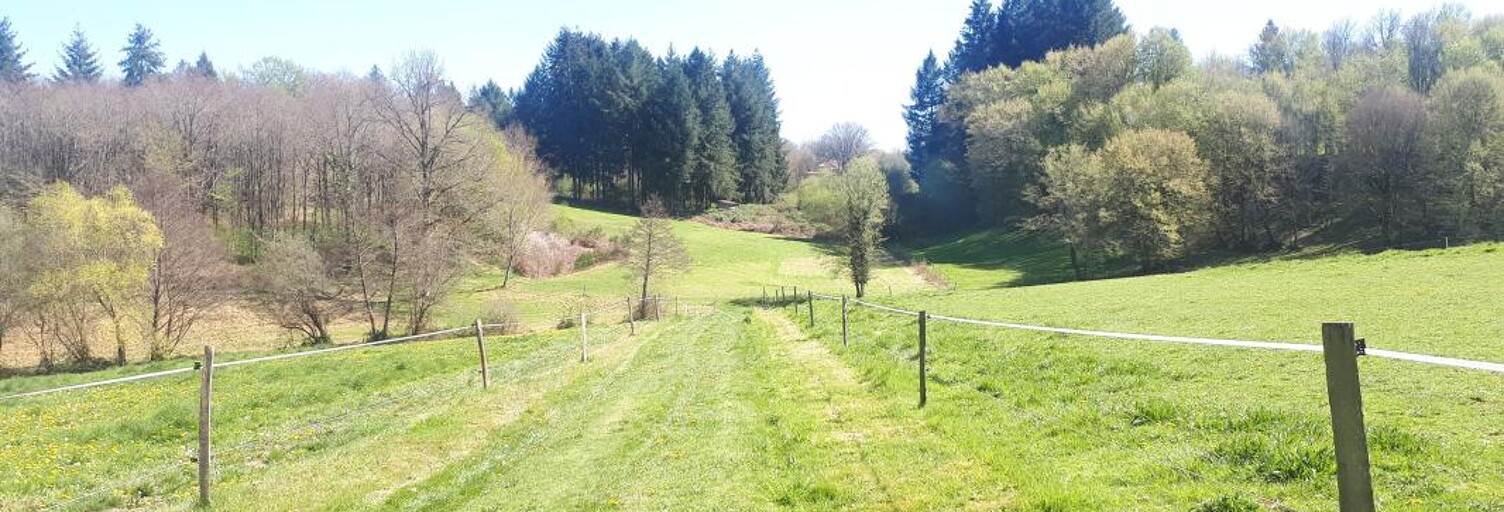 Terrain  71878 m² à vendre à Vayres (87600)